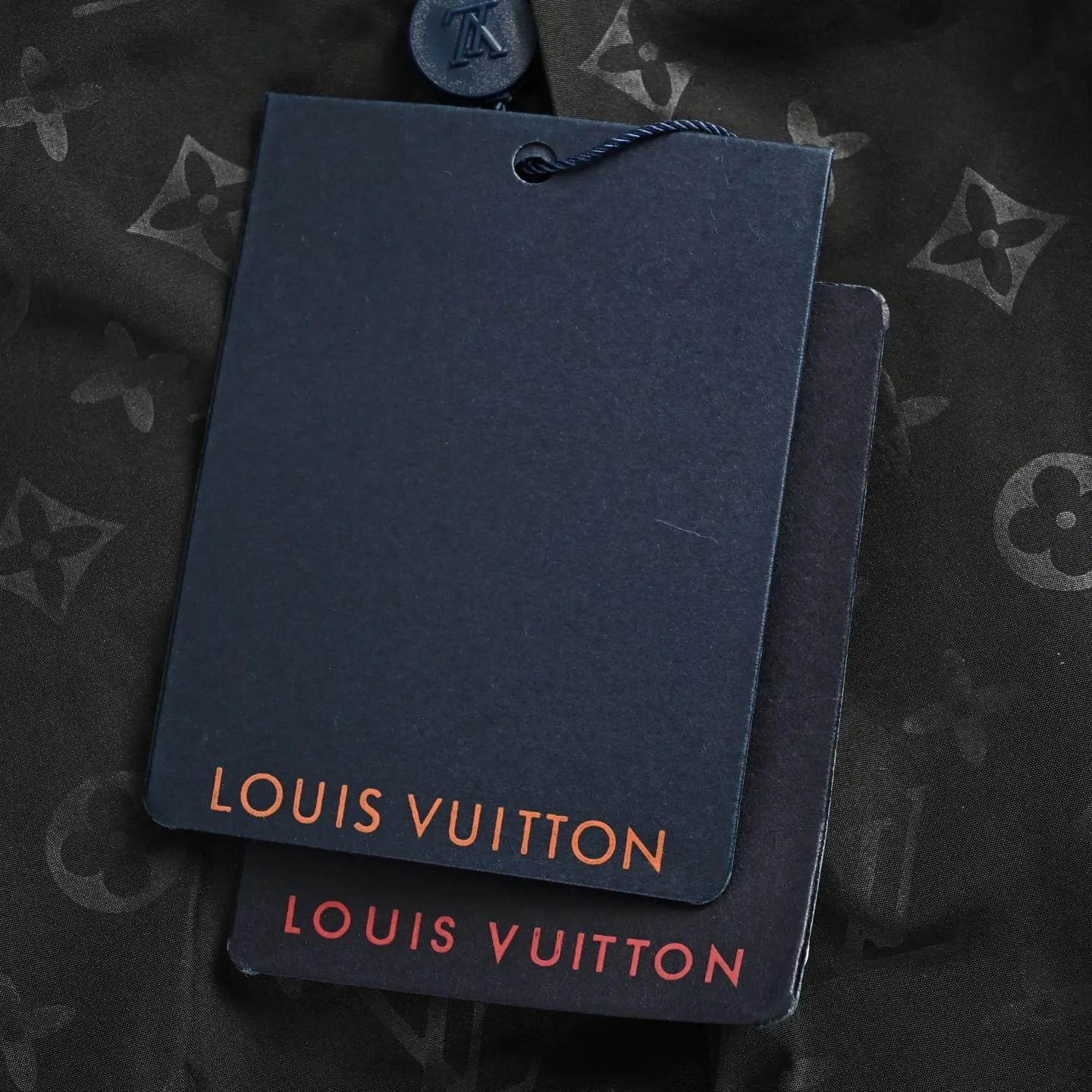 Louis Vuitton Embroidered Logo Koi Embroidered Leather Jacket